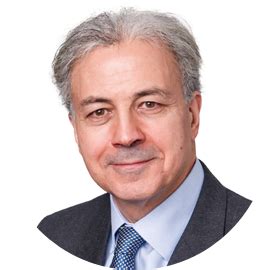 saker nusseibeh bio.